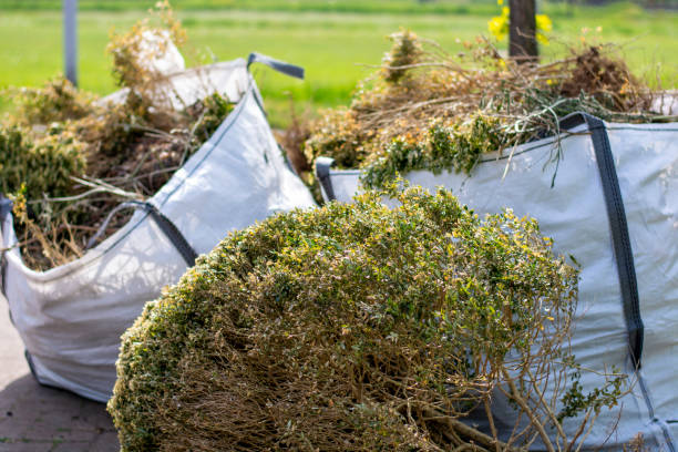 Best Yard Waste Removal  in Smith Valley, NV